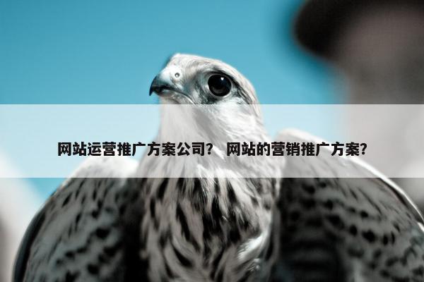 网站运营推广方案公司？ 网站的营销推广方案？