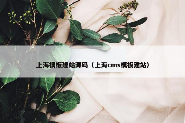 上海模板建站源码（上海cms模板建站）