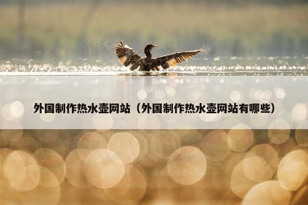 外国制作热水壶网站（外国制作热水壶网站有哪些）