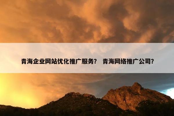 青海企业网站优化推广服务？ 青海网络推广公司？