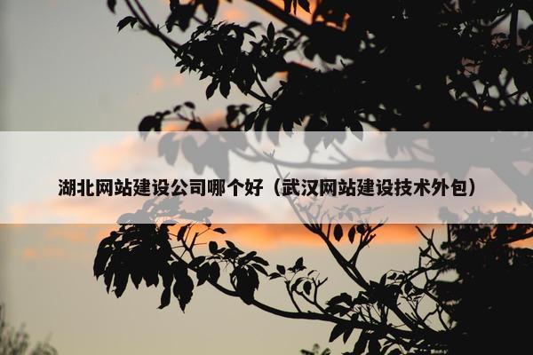 湖北网站建设公司哪个好（武汉网站建设技术外包）
