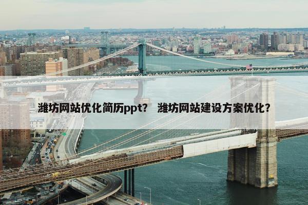潍坊网站优化简历ppt？ 潍坊网站建设方案优化？