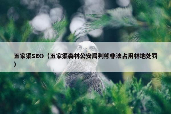 五家渠SEO（五家渠森林公安局判熊非法占用林地处罚）