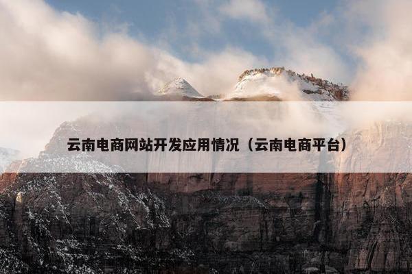 云南电商网站开发应用情况（云南电商平台）
