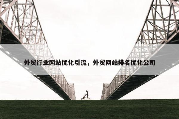 外贸行业网站优化引流，外贸网站排名优化公司