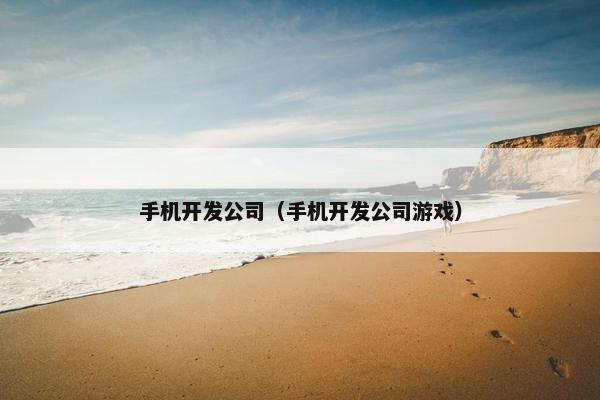 手机开发公司（手机开发公司游戏）
