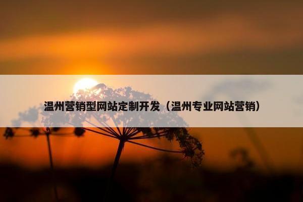 温州营销型网站定制开发（温州专业网站营销）