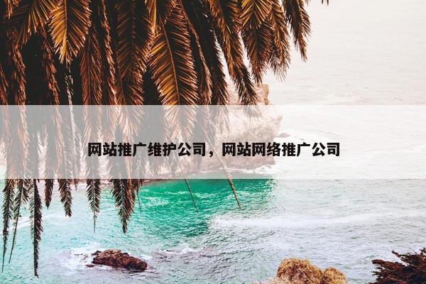 网站推广维护公司，网站网络推广公司