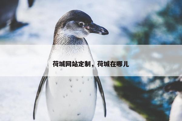 荷城网站定制，荷城在哪儿
