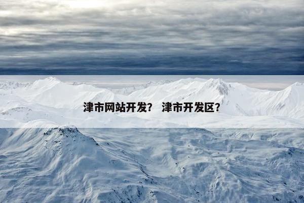 津市网站开发？ 津市开发区？