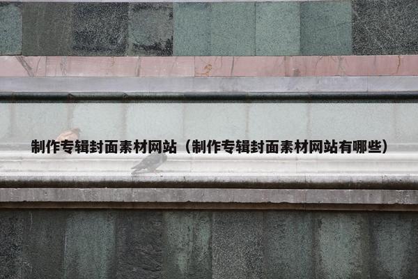 制作专辑封面素材网站（制作专辑封面素材网站有哪些）