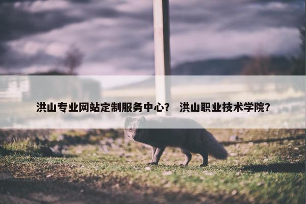 洪山专业网站定制服务中心？ 洪山职业技术学院？