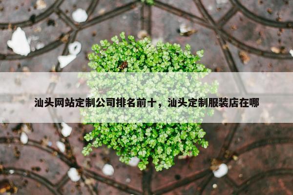 汕头网站定制公司排名前十，汕头定制服装店在哪