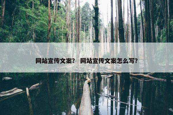 网站宣传文案？ 网站宣传文案怎么写？