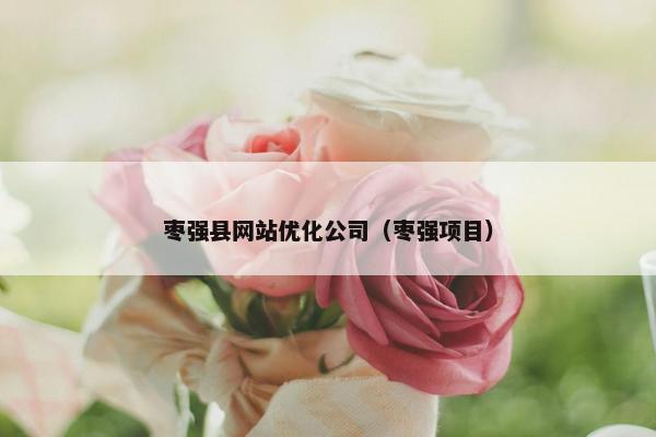枣强县网站优化公司（枣强项目）