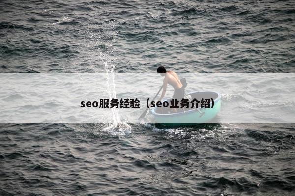 seo服务经验（seo业务介绍）