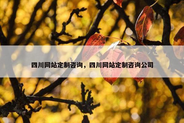 四川网站定制咨询，四川网站定制咨询公司