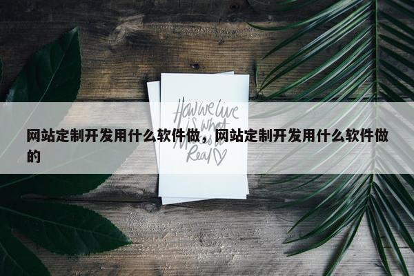 网站定制开发用什么软件做，网站定制开发用什么软件做的