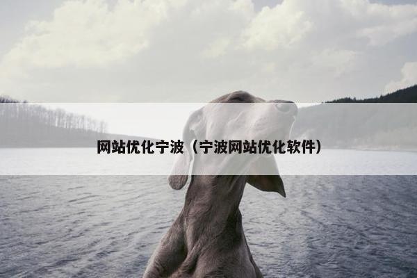 网站优化宁波（宁波网站优化软件）