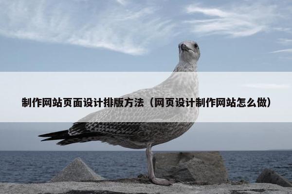 制作网站页面设计排版方法（网页设计制作网站怎么做）