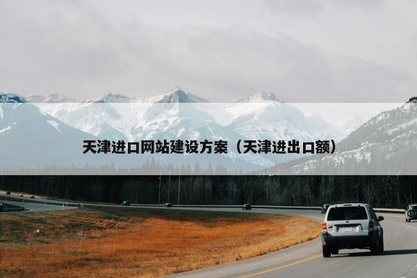 天津进口网站建设方案（天津进出口额）