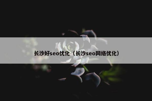 长沙好seo优化（长沙seo网络优化）