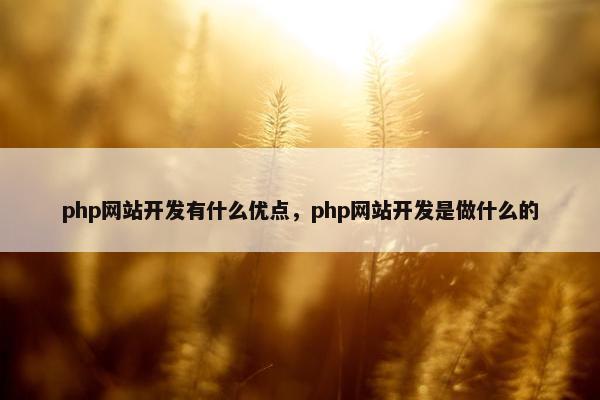 php网站开发有什么优点，php网站开发是做什么的