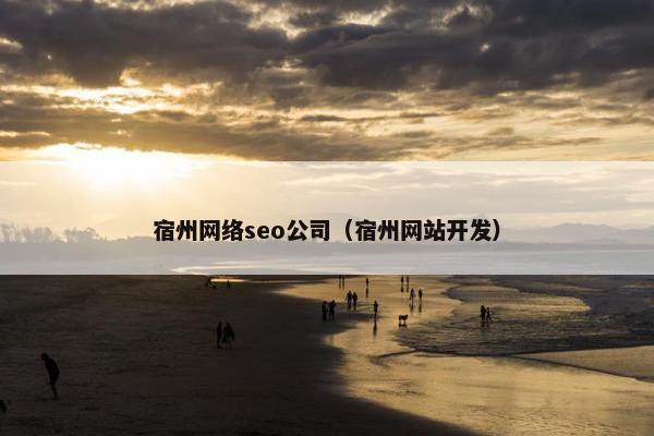 宿州网络seo公司（宿州网站开发）