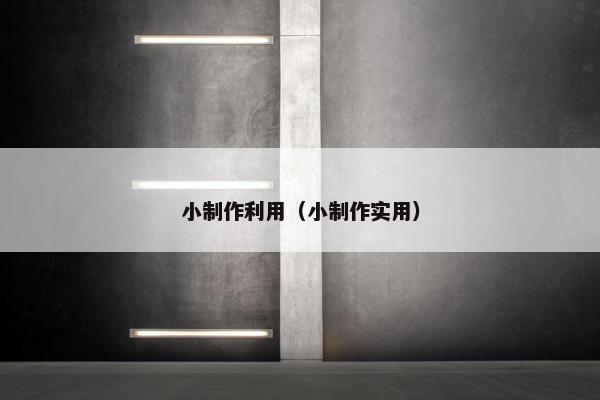 小制作利用（小制作实用）
