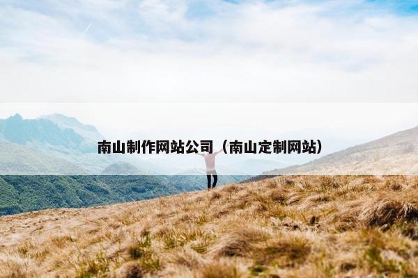 南山制作网站公司（南山定制网站）