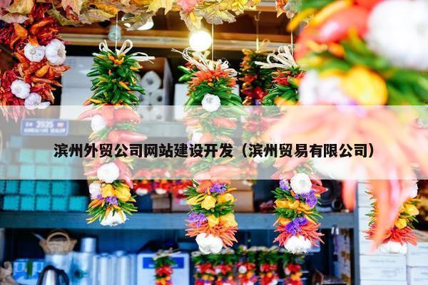 滨州外贸公司网站建设开发（滨州贸易有限公司）