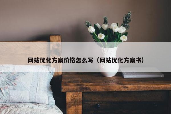 网站优化方案价格怎么写（网站优化方案书）