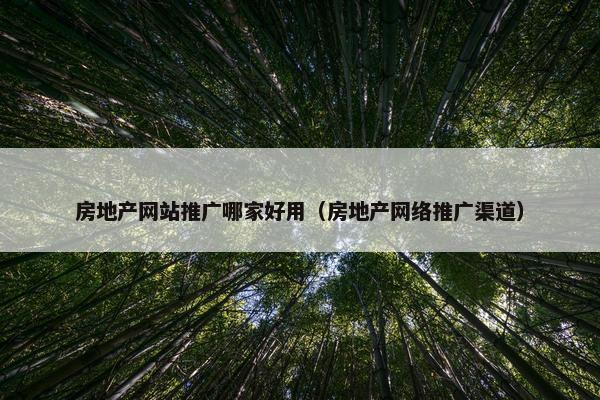 房地产网站推广哪家好用（房地产网络推广渠道）