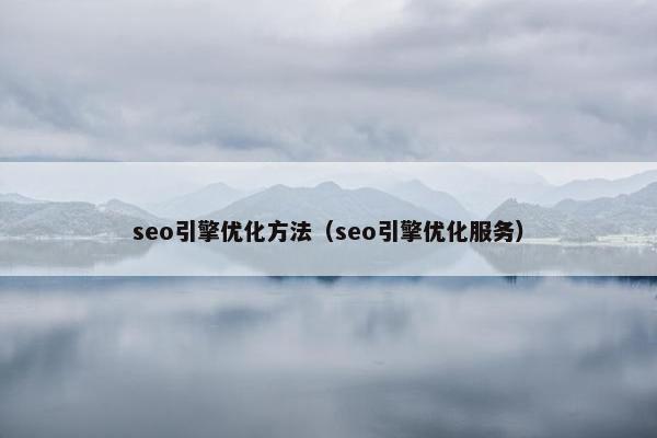 seo引擎优化方法（seo引擎优化服务）