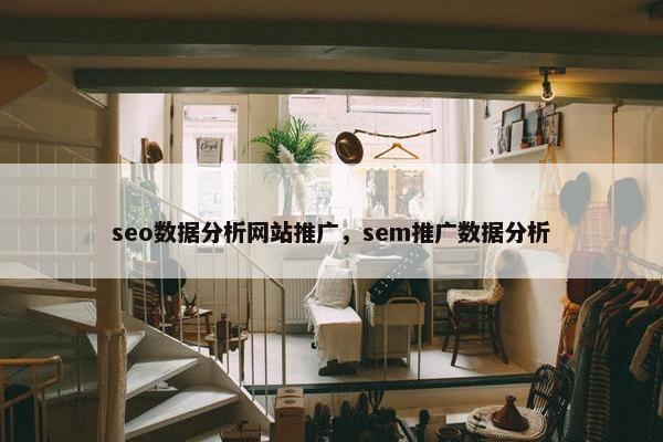 seo数据分析网站推广，sem推广数据分析