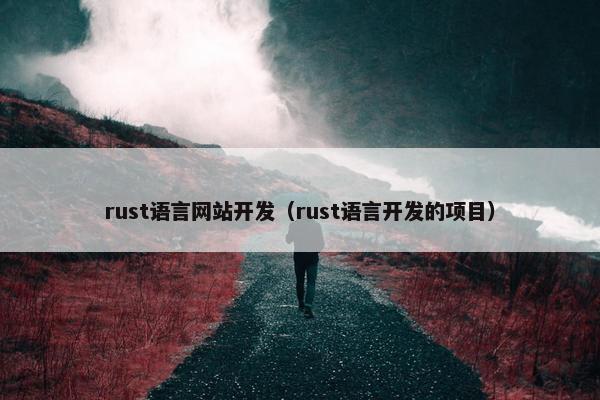 rust语言网站开发（rust语言开发的项目）