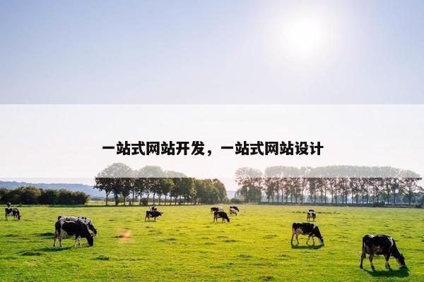 一站式网站开发，一站式网站设计