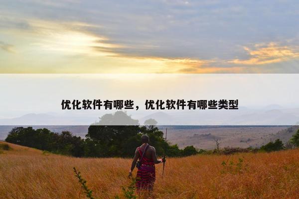 优化软件有哪些，优化软件有哪些类型