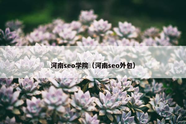河南seo学院（河南seo外包）