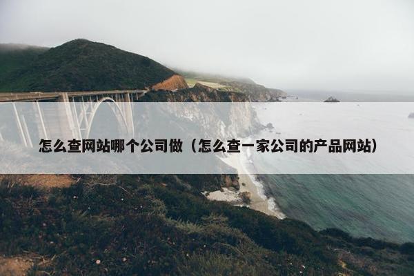 怎么查网站哪个公司做（怎么查一家公司的产品网站）