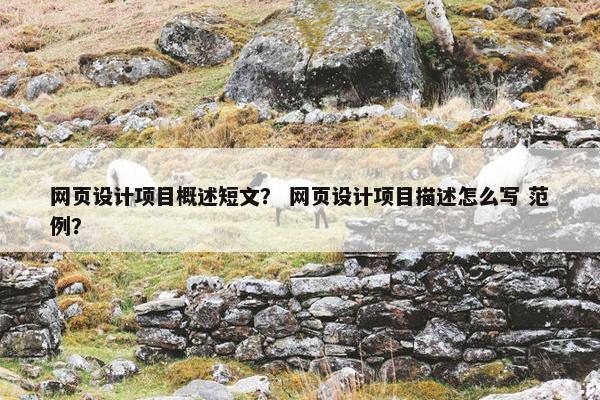 网页设计项目概述短文？ 网页设计项目描述怎么写 范例？
