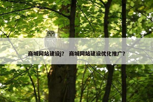 商城网站建设j？ 商城网站建设优化推广？