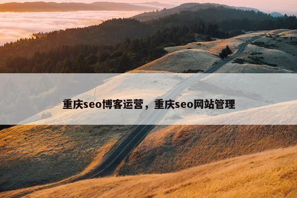 重庆seo博客运营，重庆seo网站管理