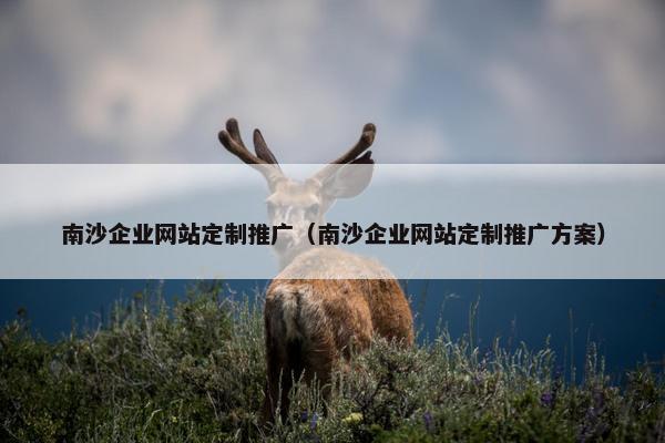 南沙企业网站定制推广（南沙企业网站定制推广方案）