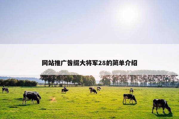 网站推广咎缀大将军28的简单介绍