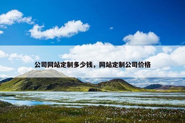 公司网站定制多少钱，网站定制公司价格