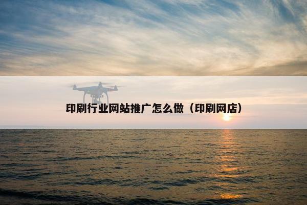 印刷行业网站推广怎么做（印刷网店）
