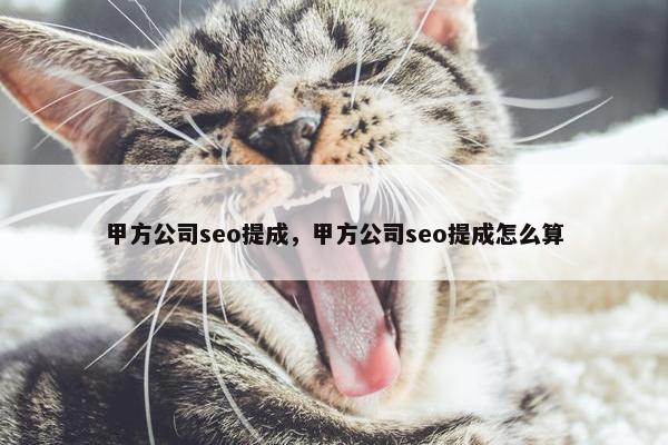甲方公司seo提成，甲方公司seo提成怎么算