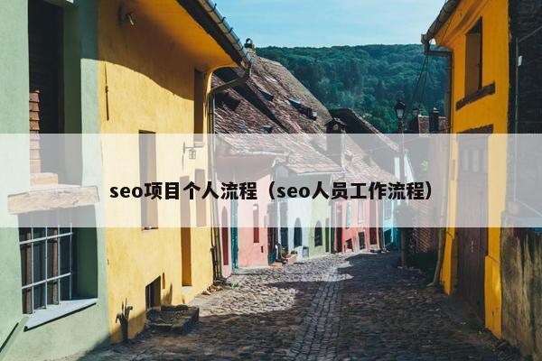 seo项目个人流程（seo人员工作流程）
