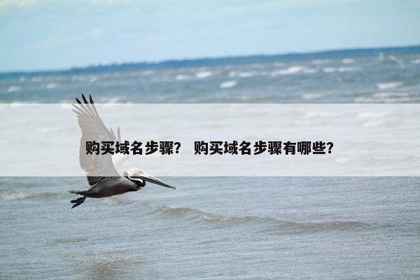 购买域名步骤？ 购买域名步骤有哪些？